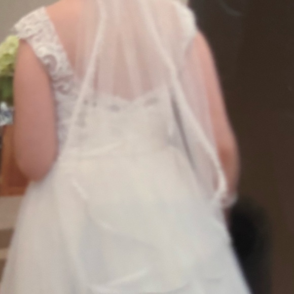 David's Bridal Cream Sleeveless Scoop Neck Wedding Gown AND veil - Picture 5 of 10